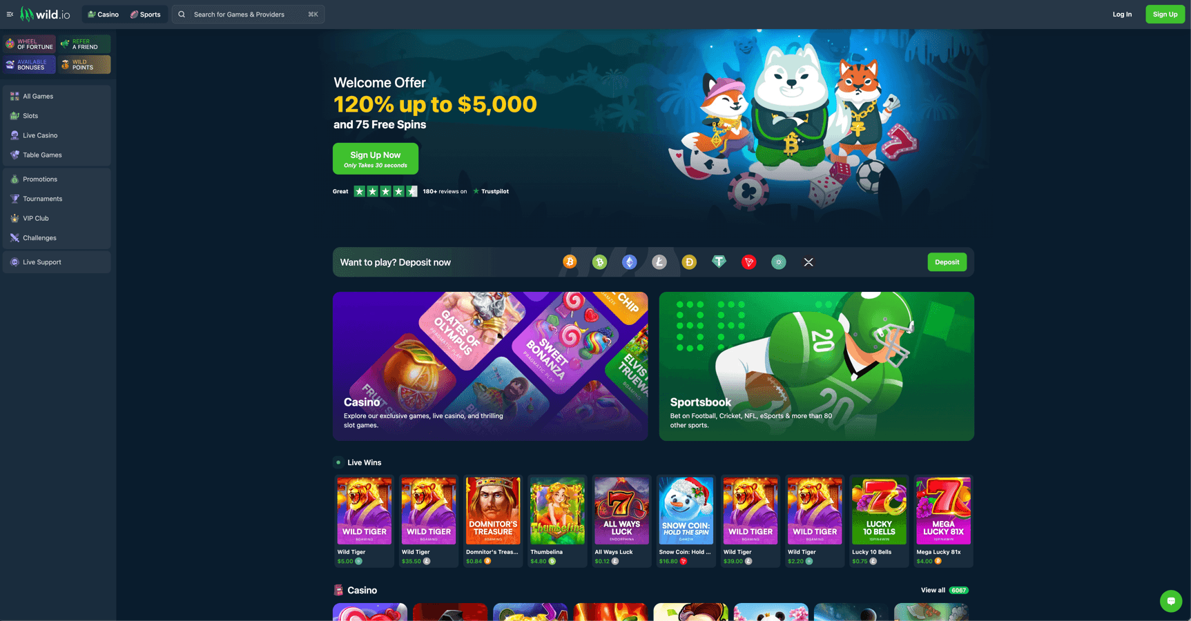 Wild.io screenshot