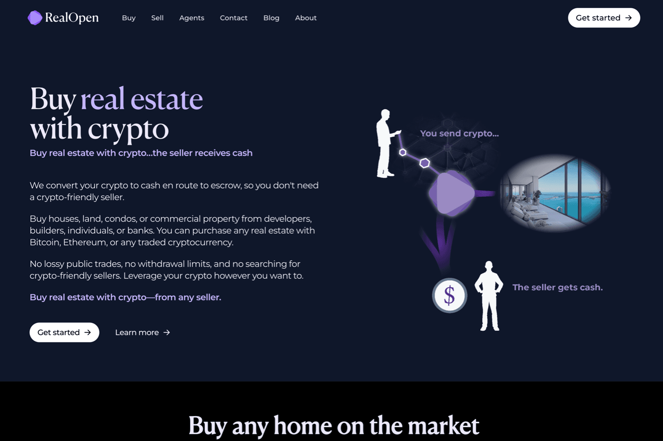 RealOpen screenshot