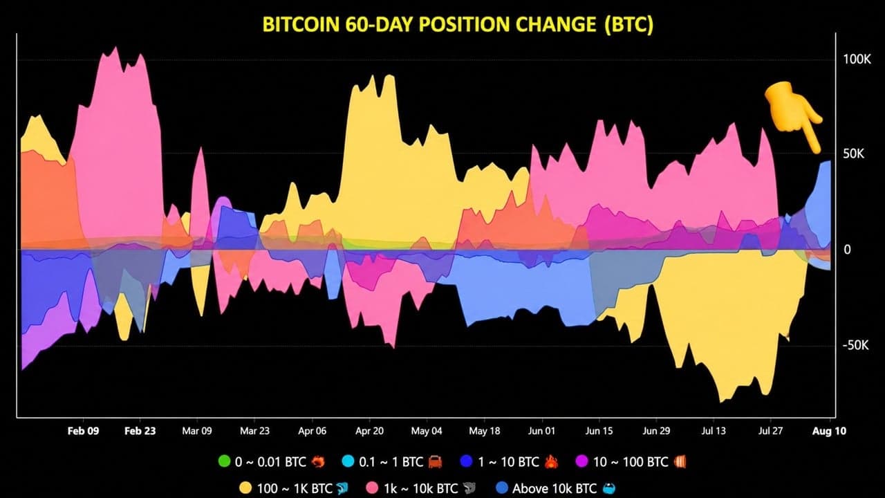Las «ballenas» de Bitcoin acumulan 43 000 BTC, poniendo fin a una racha de ventas que se ha prolongado durante meses