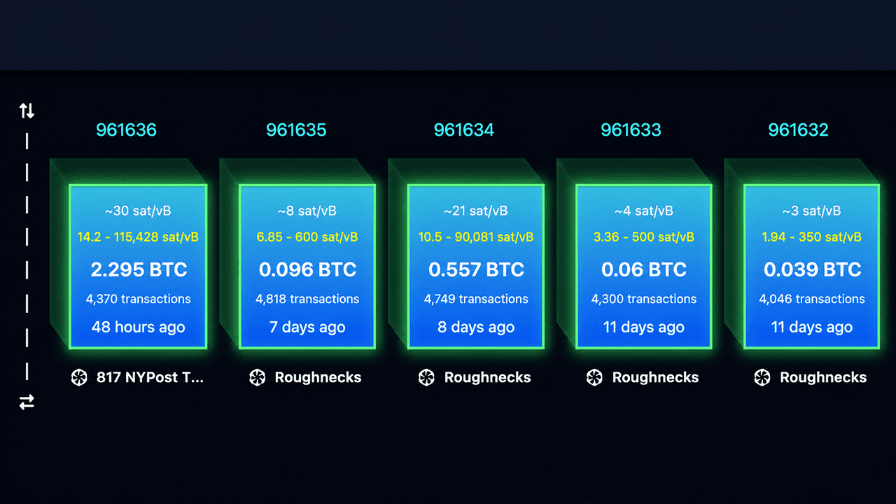 Die Besorgnis über Replay-Angriffe wächst, während Befürworter von BIP-110 Bitcoin als „Spamcoin“ bezeichnen