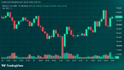 Bitcoin Price Roars Back From $77,603 as Bulls Eye $80,000