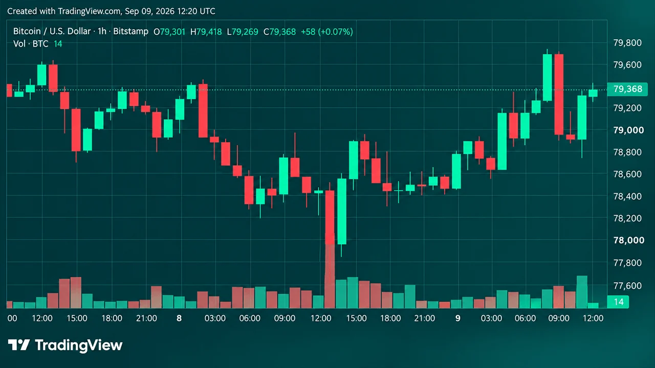 Cena bitcoinu sa prudko zotavila zo 77 603 USD, pričom býci mieria na hranicu 80 000 USD