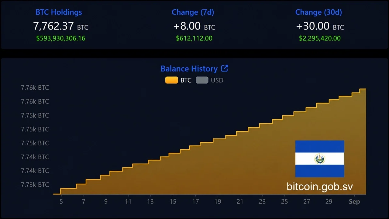 Reserva de bitcoins de El Salvador chega a 7.762 BTC, apesar das reservas do FMI