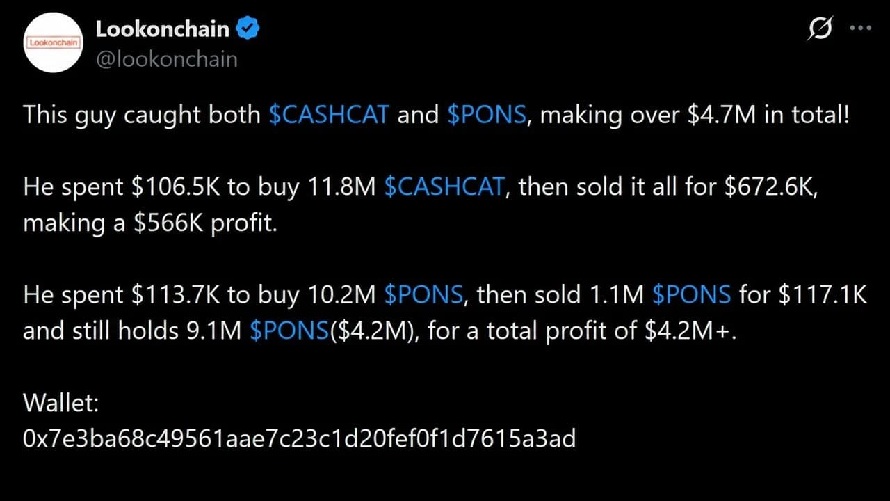 Cách CASHCAT và PONS biến 220.000 USD thành 4,7 triệu USD trên Robinhood Chain