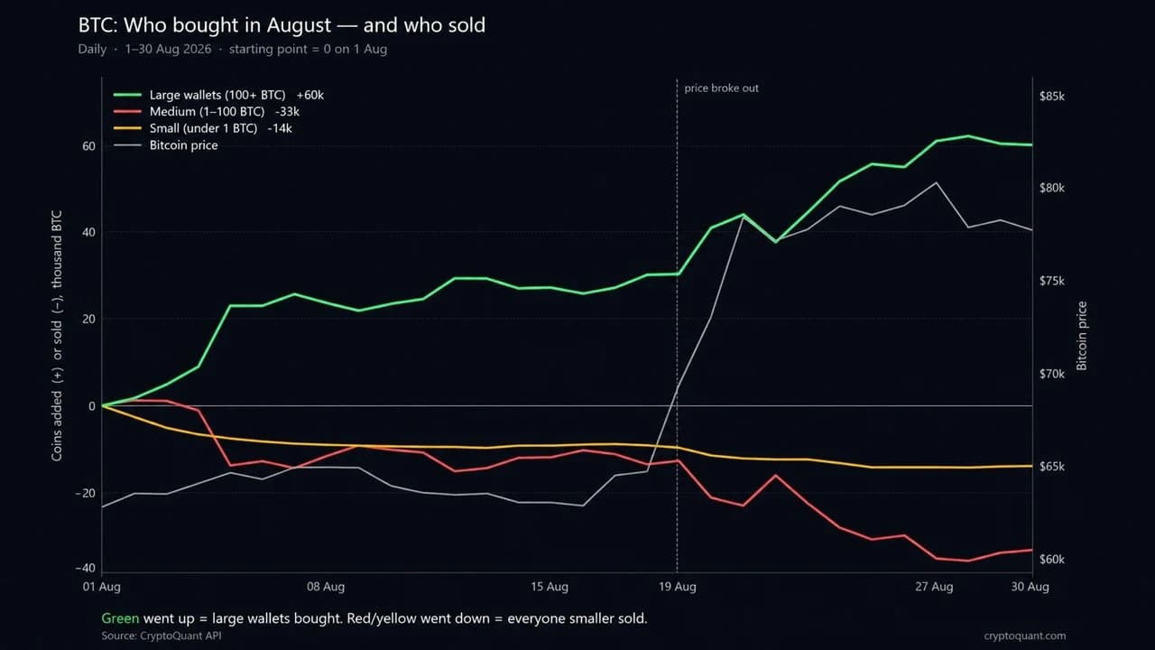 Cryptoquant: A alta no preço do Bitcoin escondeu uma onda de compras por parte de uma “baleia” de 60.000 BTC
