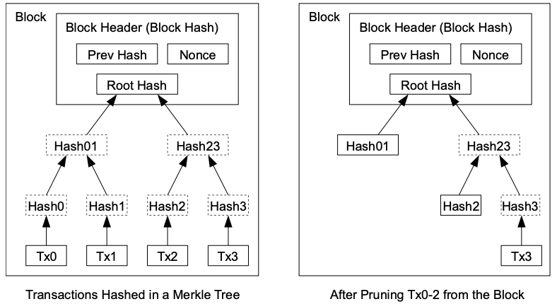 Diagram showing transactions hashed in merkle tree and then pruned
