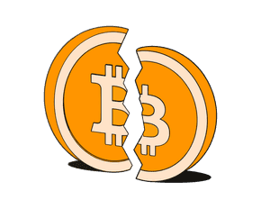 Bitcoin Hard Fork